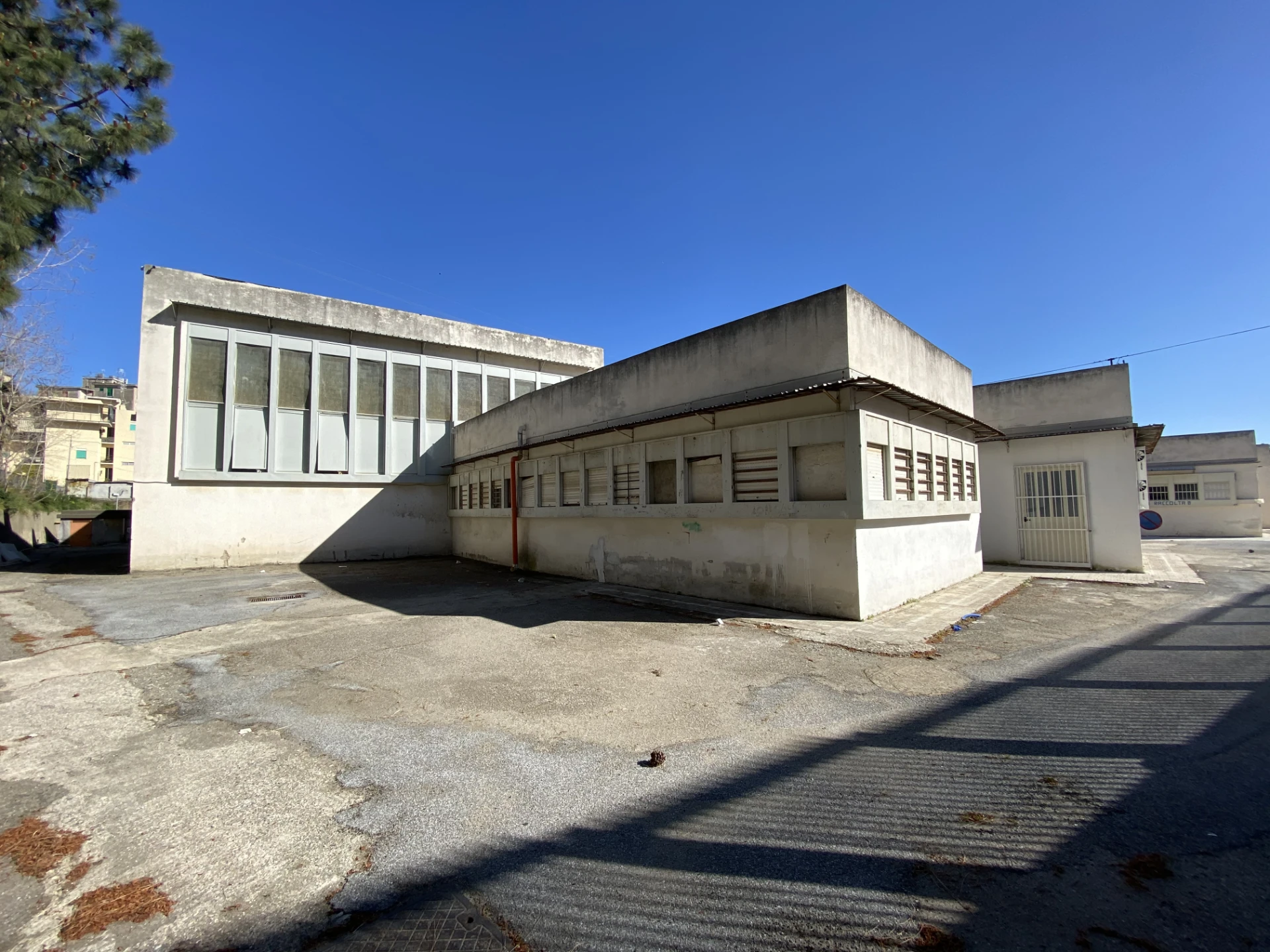 Istituto comprensivo Albino Luciani 04